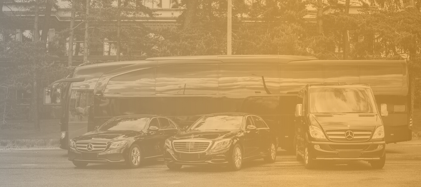 Vip Transfer